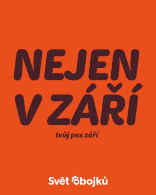 Nejen v září tvůj pes září. ✨🐾 Každý psí parťák má svůj styl – a u nás najde obojky a doplňky, které mu pomůžou zazářit po...