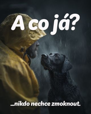 Protože skočit si do vody nebo zmoknout v dešti není totéž. 🌧️🐾 Psi vodu milují – ale kdo by chtěl být celý prochladlý a...